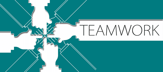 Establish a workflow