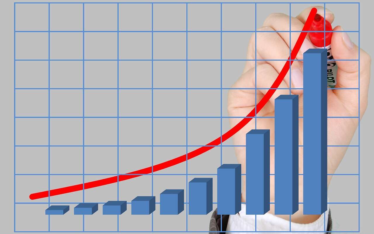 net income