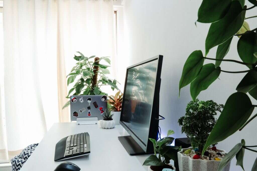 Work Environment