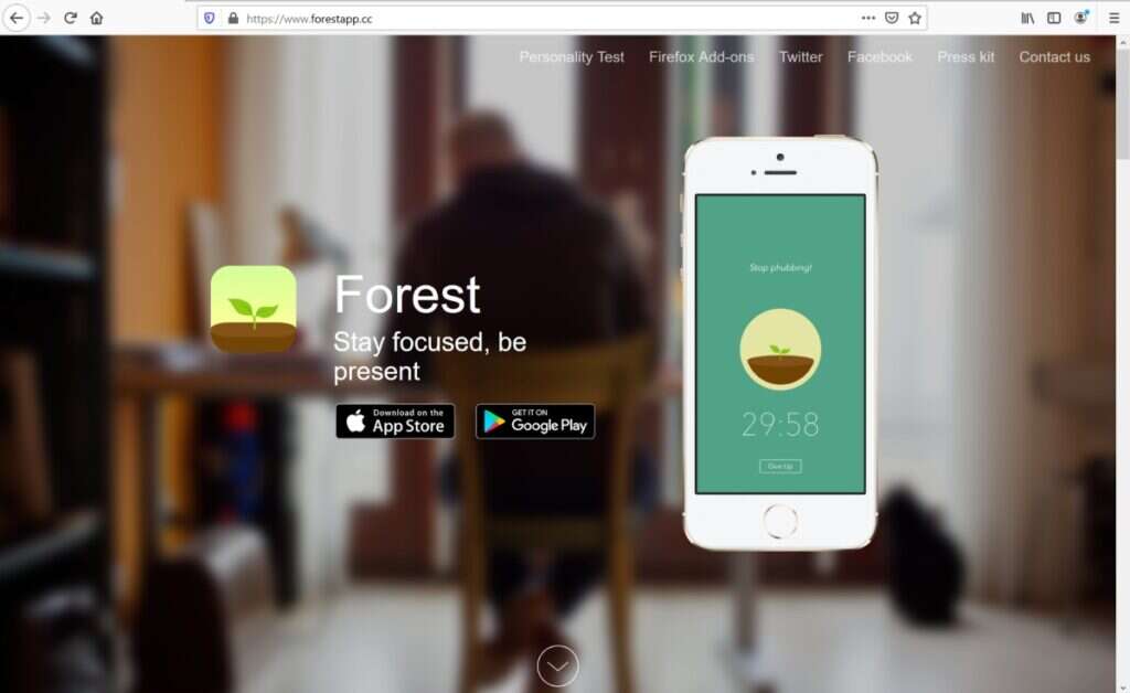 Forest