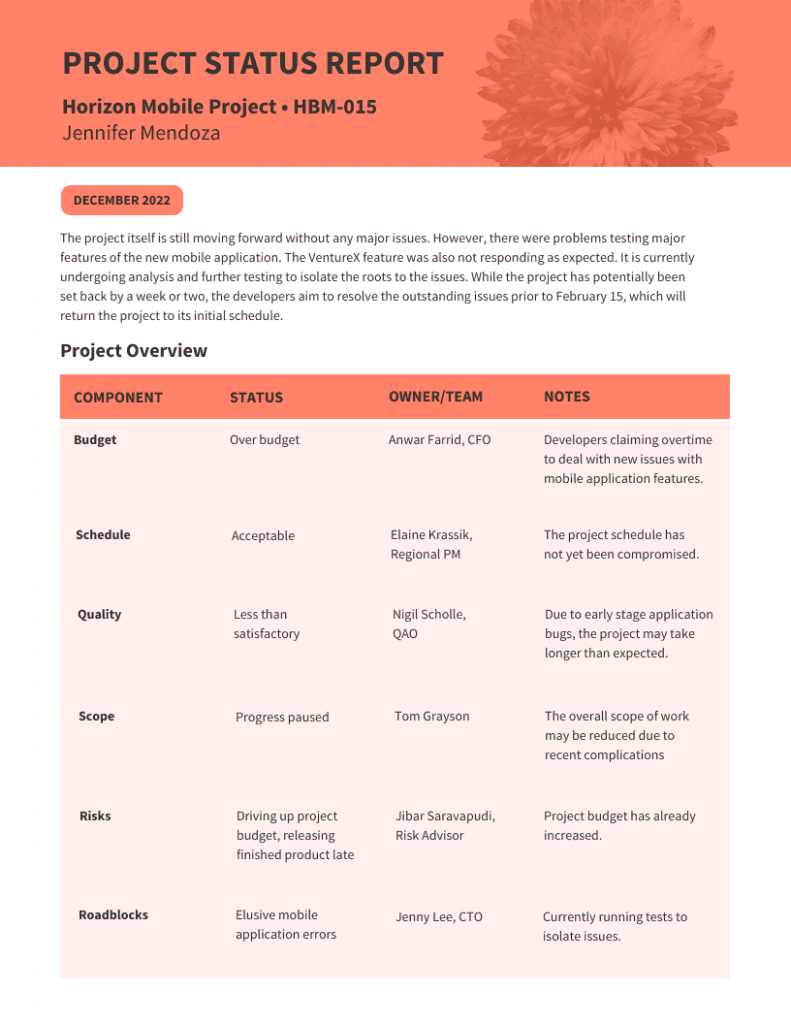 Project Status Report