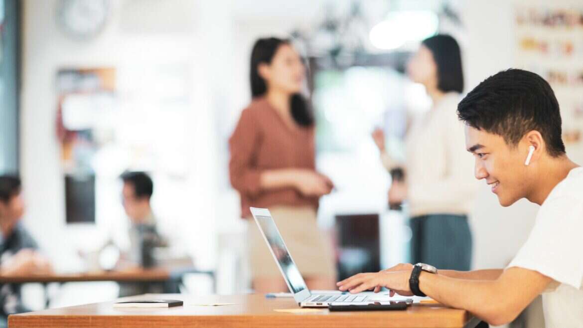 harvest alternatives