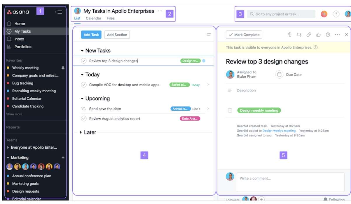 asana interface