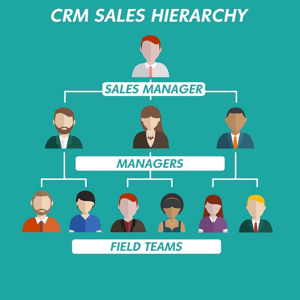 organizational chart