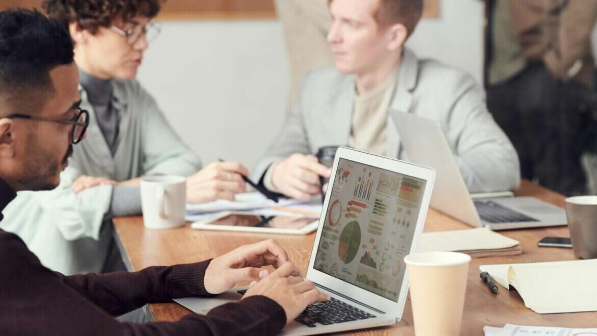 sapience alternatives