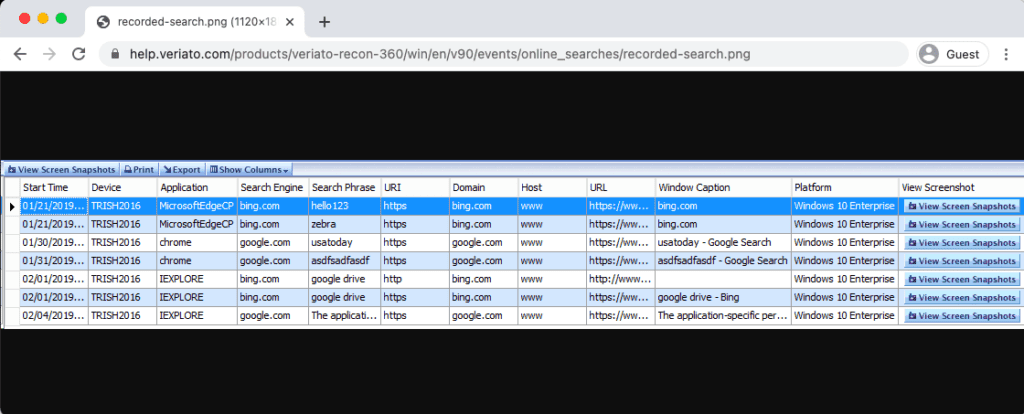 Veriato web app monitoring