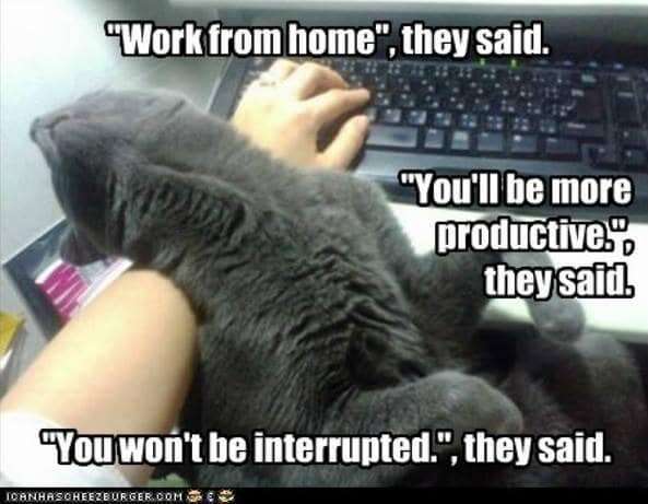 Remote work - no distractions