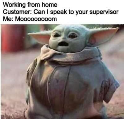 WFH Customer Service