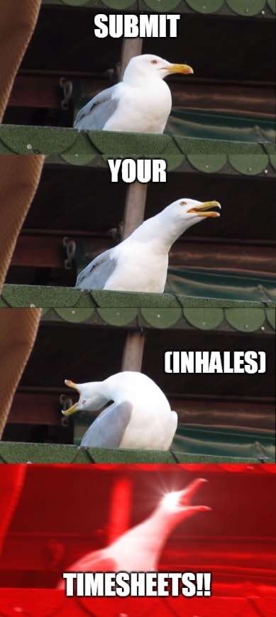 Screaming Timesheet Reminder