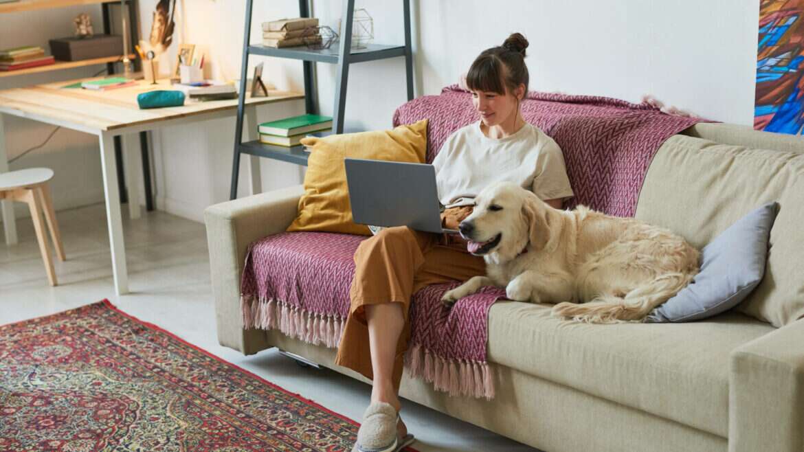 Ireland flexible work bold step